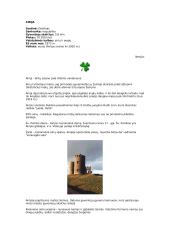 Airija ir Dublinas