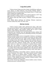 Vilnius. Lietuvos sostinė 2 puslapis