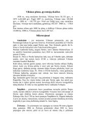 Vilnius. Lietuvos sostinė 3 puslapis