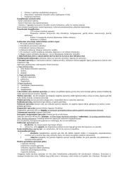 Chirurgijos pagrindai 7 puslapis