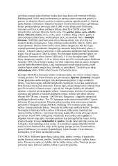 Suomija ir Helsinkis 2 puslapis