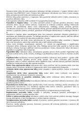 Darbo normavimas 3 puslapis