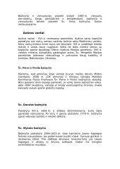 Vilnius ir jo charakteristika 4 puslapis