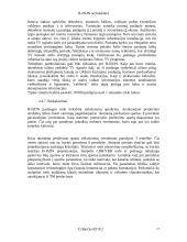 B-ISDN architektūra 17 puslapis