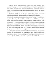 DBVS programinė įranga 2 puslapis