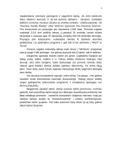 Informacinių technologijų panaudojimas valdininko darbo vietoje 8 puslapis