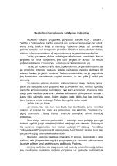 Informacinių technologijų panaudojimas valdininko darbo vietoje 9 puslapis