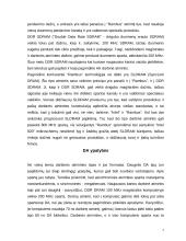 Kompiuterio atminties tipai 7 puslapis