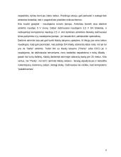 Kompiuterio atminties tipai 8 puslapis