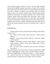 Kompiuterio miego būsena 4 puslapis