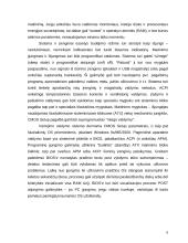 Kompiuterio miego būsena 6 puslapis