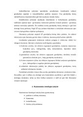 Skaitmeniniai žemėlapiai ir jų panaudojimas 5 puslapis