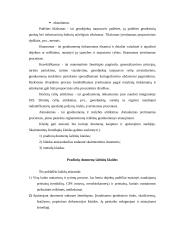 Skaitmeniniai žemėlapiai ir jų panaudojimas 6 puslapis