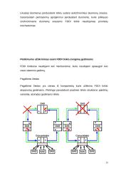 FDDI ir CDDI tinklai 13 puslapis