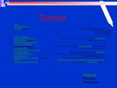 Microsoft PowerPoint programa 2 puslapis