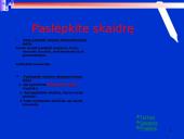 Microsoft PowerPoint programa 14 puslapis