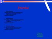 Microsoft PowerPoint programa 19 puslapis
