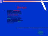 Microsoft PowerPoint programa 3 puslapis