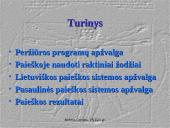 Duomenų paieška internete 2 puslapis