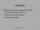 Duomenų paieška internete 3 puslapis