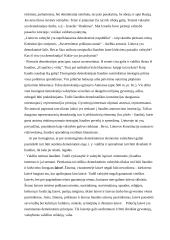 Demokratijos teorijos ir principai 3 puslapis