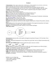 Organizacijos automatizavimo (komunikavimo) sistema (OKS) 2 puslapis