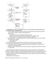 Organizacijos automatizavimo (komunikavimo) sistema (OKS) 5 puslapis