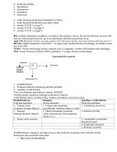 Organizacijos automatizavimo (komunikavimo) sistema (OKS) 6 puslapis