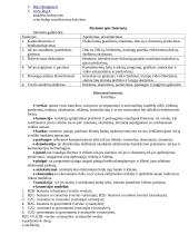 Organizacijos automatizavimo (komunikavimo) sistema (OKS) 7 puslapis