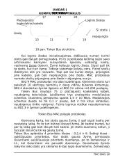 Įvadas į vietinius kompiuterinius tinklus 18 puslapis