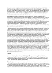 Internetas, modemai, virusai 4 puslapis