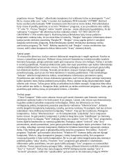 Internetas, modemai, virusai 5 puslapis