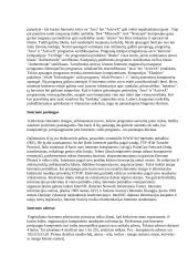 Internetas, modemai, virusai 6 puslapis