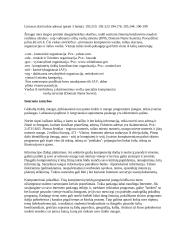 Internetas, modemai, virusai 7 puslapis