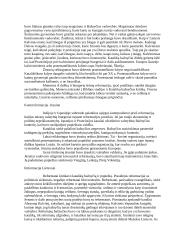 Renesanso epocha ir jo charakteristika 3 puslapis