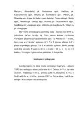 Archeologiniai paminklai, tirti Lazdijų rajone 13 puslapis