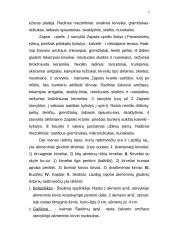 Archeologiniai paminklai, tirti Lazdijų rajone 6 puslapis