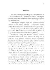 Archeologiniai paminklai, tirti Lazdijų rajone 8 puslapis