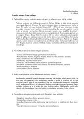 Arabai ir islamas, arabų kalifatas