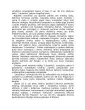 Apie Steponą Darių 8 puslapis
