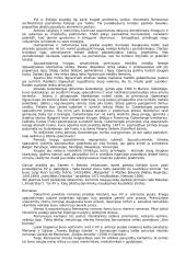 Renesanso epocha ir Renesansinis romanas 3 puslapis