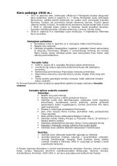 Pirmasis Pasaulinis karas 1914-1918 2 puslapis