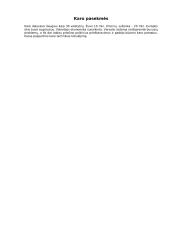 Pirmasis Pasaulinis karas 1914-1918 3 puslapis