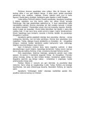 Kaimas ir jo žmonės A. Vienuolio apsakyme "Arkliavagio duktė" 2 puslapis