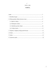 M. Vainilaičio eiliuotų pasakų veikėjų tipologija 2 puslapis