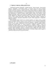 M. Vainilaičio eiliuotų pasakų veikėjų tipologija 12 puslapis