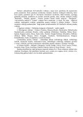 M. Vainilaičio eiliuotų pasakų veikėjų tipologija 13 puslapis