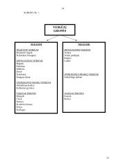 M. Vainilaičio eiliuotų pasakų veikėjų tipologija 14 puslapis