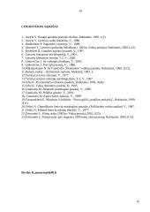 M. Vainilaičio eiliuotų pasakų veikėjų tipologija 16 puslapis