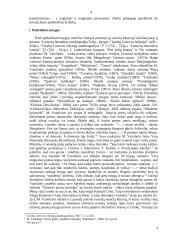 M. Vainilaičio eiliuotų pasakų veikėjų tipologija 4 puslapis